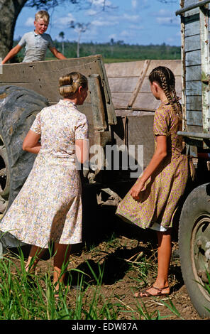 Des mennonites de la Spanish Lookout de travail Règlement sur les terres agricoles, Belize, en Amérique centrale, Juin 1985 Banque D'Images