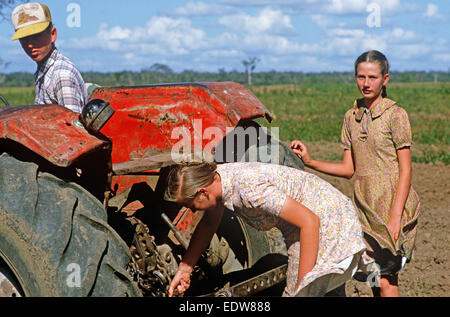 Des mennonites de la Spanish Lookout de travail Règlement sur les terres agricoles, Belize, en Amérique centrale, Juin 1985 Banque D'Images