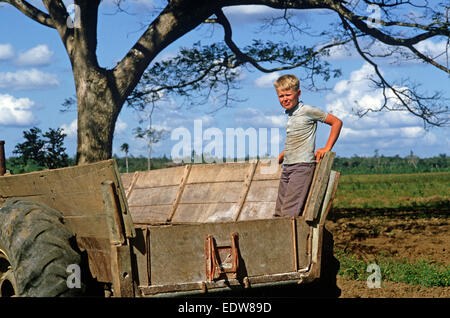 Des mennonites de la Spanish Lookout de travail Règlement sur les terres agricoles, Belize, en Amérique centrale, Juin 1985 Banque D'Images