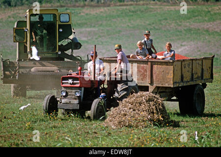 Des mennonites de la Spanish Lookout de travail Règlement sur les terres agricoles, Belize, en Amérique centrale, Juin 1985 Banque D'Images