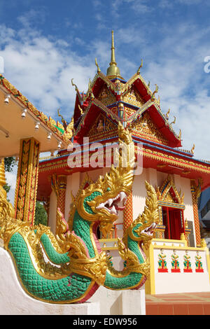 Vue extérieure du temple du Bouddha de couchage situé à Penang, Malaisie. Dragons et pagoda avec toutes les chaînes du bouquet Sky. Banque D'Images