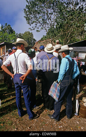 Les Mennonites à Spanish Lookout Community farm vente aux enchères, Belize, en Amérique centrale, Juin 1985 Banque D'Images