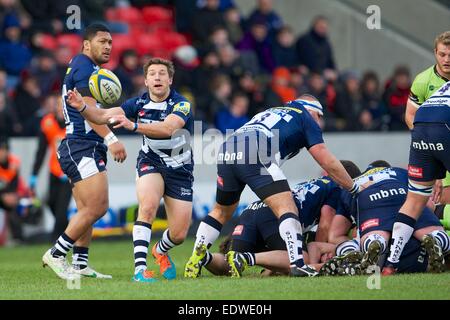 Vente, UK. 10 janvier, 2015. Aviva Premiership. Sale Sharks par rapport à Northamton Saints. Sale Sharks le demi de mêlée Chris Cusiter. Credit : Action Plus Sport/Alamy Live News Banque D'Images