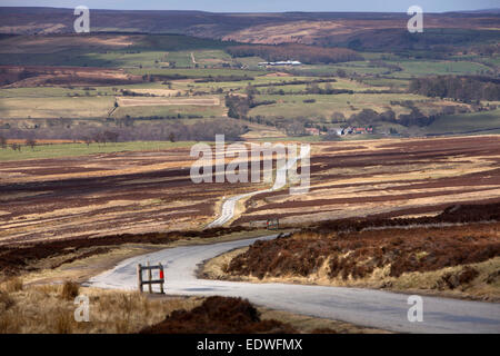 Royaume-uni, Angleterre, dans le Yorkshire Goathland, Moorland road à trou Beck Banque D'Images