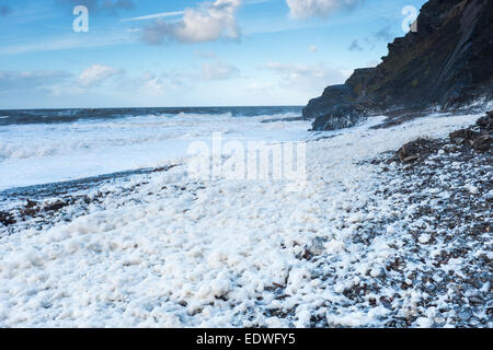 Aberystwyth, Pays de Galles, Royaume-Uni. 10 janvier 2015. Après une journée de mauvais temps et une mer d'une grande quantité de mousse de mer est déposé sur la plage d'Aberystwyth, presque à la recherche comme la neige. Écume de mer ou 'spume' est créé lors de l'organique (comme les algues) est divisé et agité dans une mer agitée. Credit : Alan Hale/Alamy Live News Banque D'Images