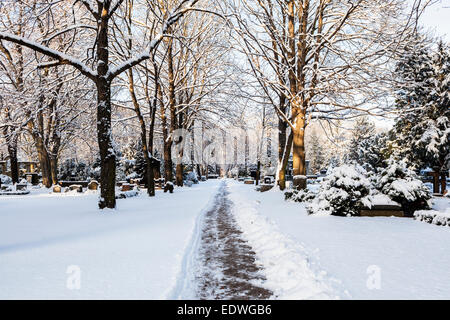 Cimetière de la paroisse protestante Sophien & arbres couverts de neige après l'hiver la neige, Friedhof der Gemeinde Sophien, Mitte, Berlin Banque D'Images