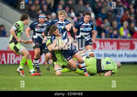 Vente, UK. 10 janvier, 2015. Aviva Premiership. Sale Sharks par rapport à Northamton Saints. Sale Sharks le demi de mêlée Chris Cusiter est abordé. Credit : Action Plus Sport/Alamy Live News Banque D'Images