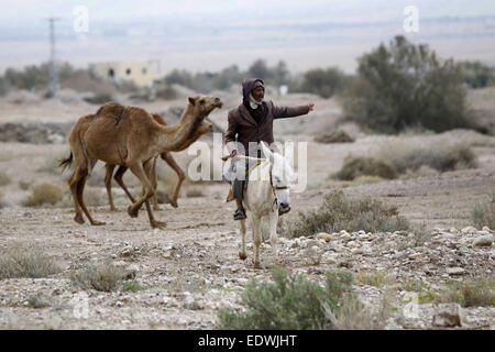 Jérusalem, Jérusalem, territoire palestinien. 10 janvier, 2015. Un Bédouin man ride un âne pendant ses troupeaux de chameau dans le désert de Judée entre Jéricho et Jérusalem © Muammar Awad/APA/Images/fil ZUMA Alamy Live News Crédit : ZUMA Press, Inc./Alamy Live News Banque D'Images