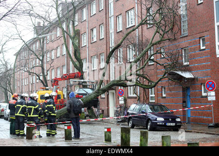 Hambourg, Allemagne. 10 janvier, 2015. Sécuriser les pompiers un arbre, qui était tombée sur une maison, dans le quartier de Altona à Hambourg, Allemagne, 10 janvier 2015. L'ouragan "Felix" est la deuxième tempête à frapper le nord de l'Allemagne dans un délai de deux jours. PHOTO : BODO MARKS/dpa/Alamy Live News Banque D'Images