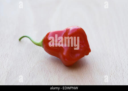 Capsicum annuum "Scotch Bonnet'. Chili sur une planche de bois. Banque D'Images