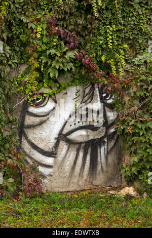 Le Graffiti d'un visage sur le mur d'un rocher qui ressemble à un chat triste à Budapest, Hongrie Banque D'Images