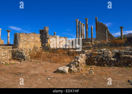 Volubilis, Moulay Idris, Meknès, ruines romaines de Volubilis, Maroc, Maghreb Banque D'Images