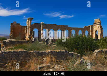 Volubilis, Moulay Idris, Meknès, ruines romaines de Volubilis, Maroc, Maghreb Banque D'Images