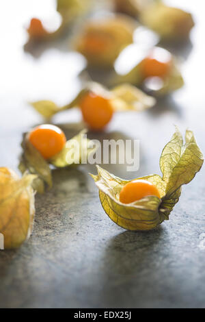 Grand groupe ou physalis physalis de délicates papyracée cosse sur le marbre vert Banque D'Images