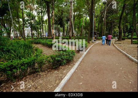 Parc Parque Mexique (Mexique) dans le quartier Condesa de Mexico, Mexique Banque D'Images