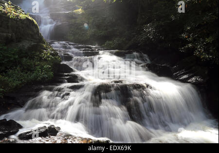 Une cascade d'étapes en cascade est à travers les rochers et végétation verte. Banque D'Images