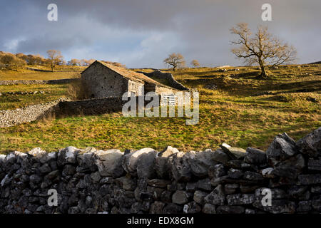 Un Dales grange et murs en pierre sèche en hiver, la lumière du soleil Langcliffe, régler, Yorkshire Dales National Park, Royaume-Uni Banque D'Images