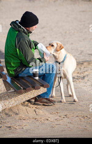 Plage de Sandbanks, Poole, Dorset, UK. 11 janvier, 2015. Journée ensoleillée avec un ciel bleu à la plage de Sandbanks, bien que froid, donc le temps de s'asseoir avec une tasse de boisson et quelque chose à manger à partager avec le chien. Credit : Carolyn Jenkins/Alamy Live News Banque D'Images