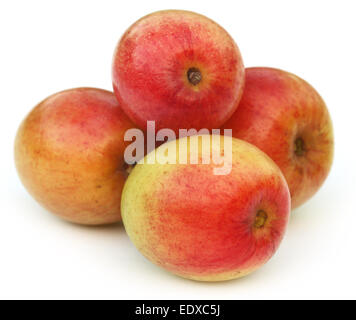 Ripe red juicy fruits jujube sur fond blanc Banque D'Images