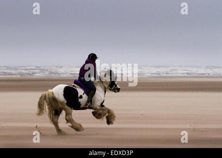 Southport, Merseyside, Royaume-Uni. 11 janvier 2015, Météo France. Chevaux au galop"   "Horse Rider, Hayley Davies, profitant de la longue étendue de sable ferme fine d'exercer son cheval, quoique dans des conditions difficiles avec des coups de vent de sable soufflé. Activités, sports, activités et sur la plage d'Ainsdale à malgré les vents violents, une mer et un ciel couvert. Credit : Mar Photographics/Alamy Live News Banque D'Images