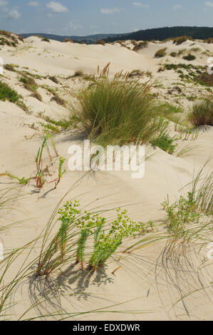 Un Barra de dunes de sable. Iznájar, Galice, Espagne Banque D'Images