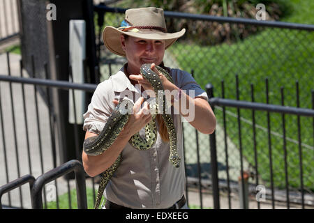 Zoogardien posant avec un serpent dans le zoo australien, Beerwah, Australie Banque D'Images
