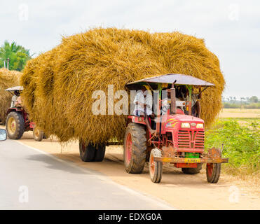 THANJAVOUR, INDE - 13 février : Les hommes des régions rurales indiennes s'arrêta à la bordure sur une voiture avec de la paille. L'Inde, le Tamil Nadu, près de l'Thanjavour. Banque D'Images