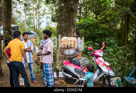 MUNNAR, INDE - 18 février 2013 : Une des personnes non identifiées sont rassemblés près du miel sauvage. L'Inde, le Kerala, Munnar. 18 février Banque D'Images