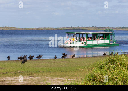 Excursion en bateau à passagers Airboat Haute Myakka Lac dans Myakka River State Park à Sarasota en Floride Banque D'Images