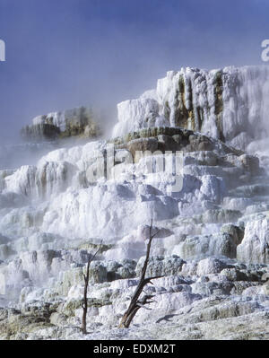 Le parc national de Yellowstone aux États-Unis, Mammoth Hot Springs, Sinterterassen, United States Parc National de Yellowstone, sinter terraces, ame Banque D'Images