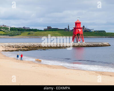 Un couple marche leurs chiens sur la plage par le troupeau épi phare à Tynemouth sur une journée ensoleillée Banque D'Images