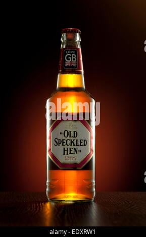 Bouteille de bière artisanale bière old speckled hen. crédit : lee ramsden / alamy Banque D'Images