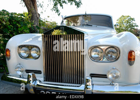 Une vue de la calandre distinctive et emblématiques d'un blanc vintage automobile Rolls Royce garée sur un chemin de campagne. Banque D'Images