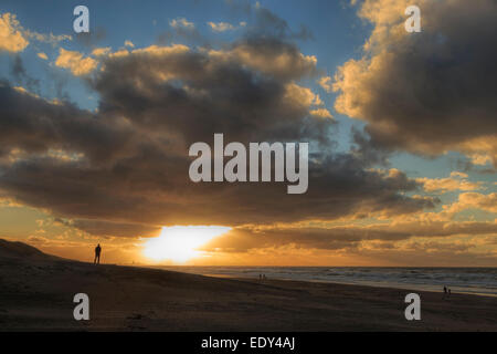 Un homme sur la plage bénéficiant d'un coucher du soleil doré sur la mer du Nord avec vue sur les toits de La Haye et Scheveningen. Banque D'Images