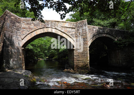 Le nouveau pont, rivière Dart, Holne, Dartmoor, dans le Devon. L'été. Banque D'Images