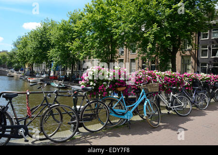 Bicyclettes et des paniers de fleurs sur un pont sur un canal, Utrechtsestraat, Amsterdam, Hollande du Nord, Pays-Bas, Europe Banque D'Images