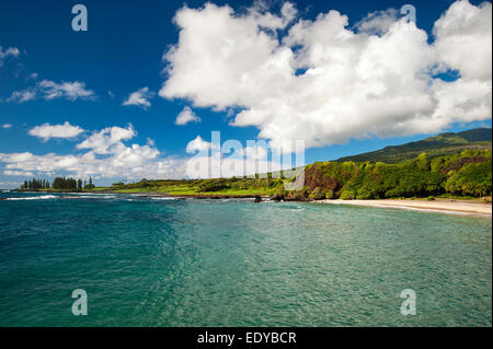 Hamoa beach, Maui Banque D'Images