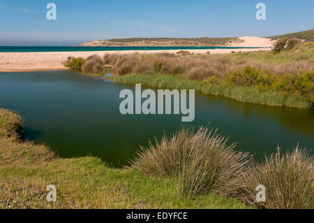 Plage de Bolonia, Tarifa, province de Cadix, Andalousie, Espagne, Europe Banque D'Images