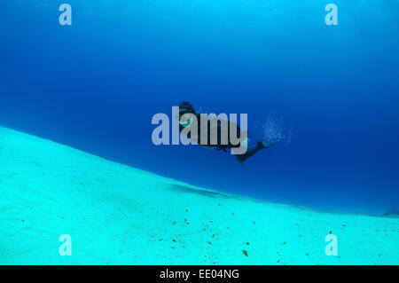 Plus de nage apnéiste un fond sablonneux, Red Sea, Egypt Banque D'Images