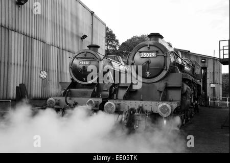 Les moteurs à vapeur Eric Treacy et le chevalier vert moteur Grosmont jette sur le North Yorkshire Moors railway Banque D'Images