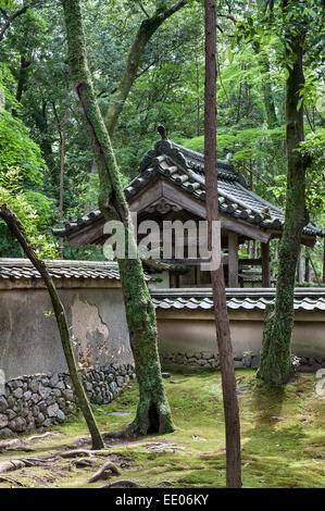 Saiho Route-ji temple zen (Koke-dera, le Temple de la mousse), Kyoto, Japon. Moss recouvre le sol dans ce jardin boisé Banque D'Images