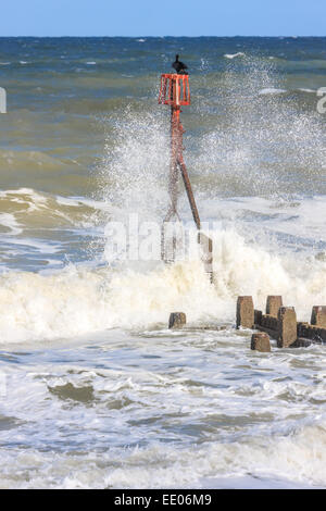 Vagues se brisant sur un brise-lames, épis en bois font partie des défenses côtières. Banque D'Images