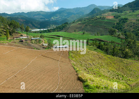 Dominikanische Republik, Cordillère centrale, Landschaft südlich von Constanza an der Carretera al Salto de Aguas Blancas (Strass Banque D'Images