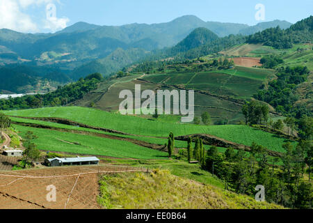 Dominikanische Republik, Cordillère centrale, Landschaft südlich von Constanza an der Carretera al Salto de Aguas Blancas (Strass Banque D'Images