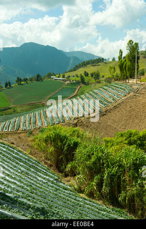 Dominikanische Republik, Cordillère centrale, Landschaft südlich von Constanza an der Carretera al Salto de Aguas Blancas (Strass Banque D'Images