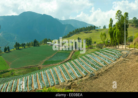 Dominikanische Republik, Cordillère centrale, Landschaft südlich von Constanza an der Carretera al Salto de Aguas Blancas (Strass Banque D'Images