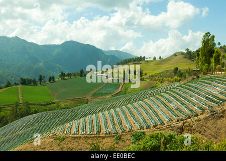 Dominikanische Republik, Cordillère centrale, Landschaft südlich von Constanza an der Carretera al Salto de Aguas Blancas (Strass Banque D'Images