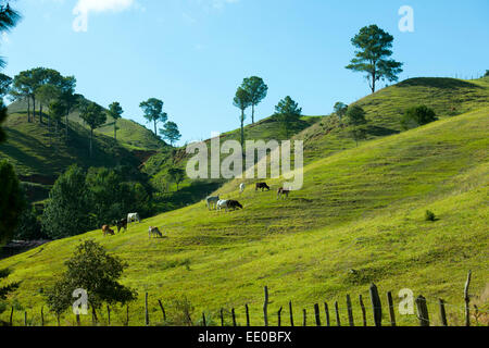 Dominikanische Republik, Cordillère centrale, Landschaft südlich von Constanza an der Carretera al Salto de Aguas Blancas (Strass Banque D'Images