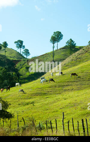 Dominikanische Republik, Cordillère centrale, Landschaft südlich von Constanza an der Carretera al Salto de Aguas Blancas (Strass Banque D'Images