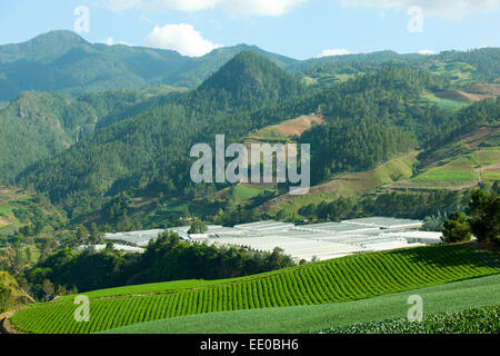 Dominikanische Republik, Cordillère centrale, Landschaft beim Dorf El Convento südlich von Constanza an der Carretera al Salto de Banque D'Images